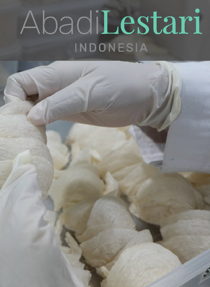 PT. ABADI LESTARI INDONESIA